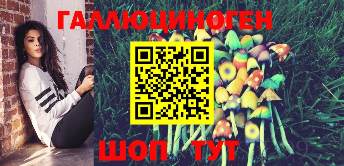 Железногорск  Псилоцибиновые грибы MAGIC MUSHROOMS  Вход с VPN 